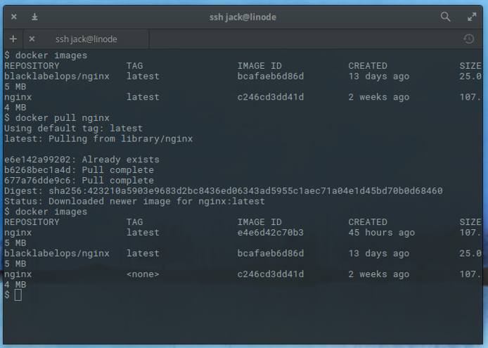 Pull newest nginx image and confirm version number. Docker Pull New nginx Image