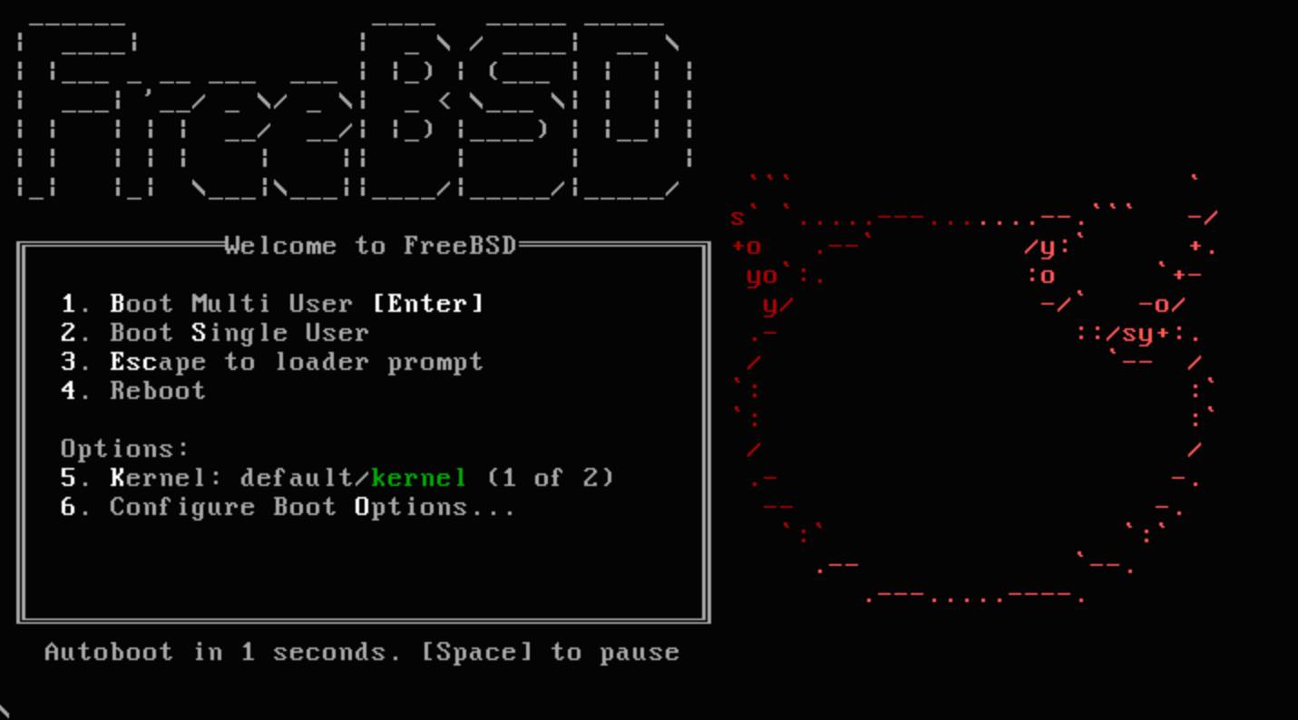 FreeBSD welcome. FreeBSD welcome.