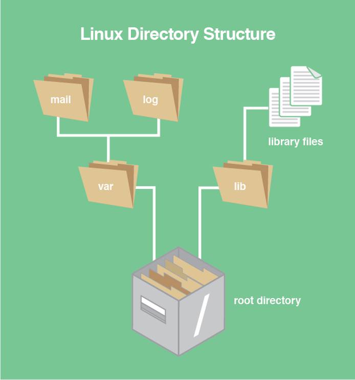 The Linux directory structure. The Linux directory structure.