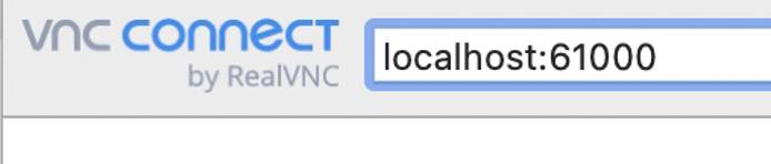 Screenshot of RealVNC connection detail Screenshot of RealVNC connection detail